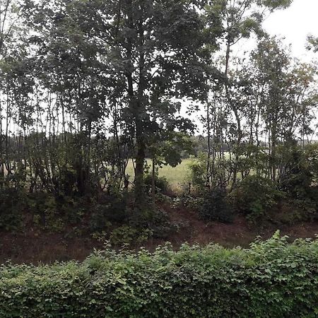 Lundtofthoj Lägenhet Aabenraa Exteriör bild