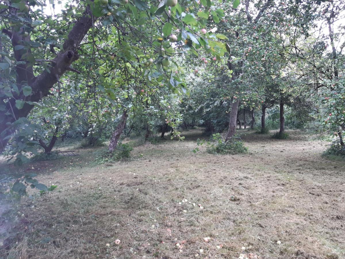 Lundtofthoj Lägenhet Aabenraa Exteriör bild