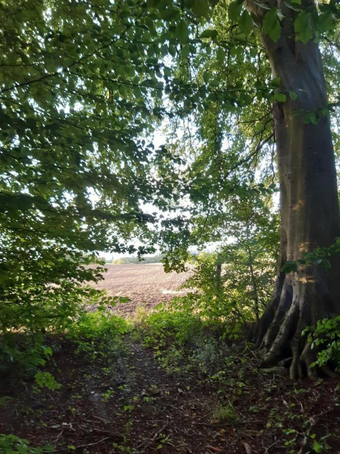 Lundtofthoj Lägenhet Aabenraa Exteriör bild