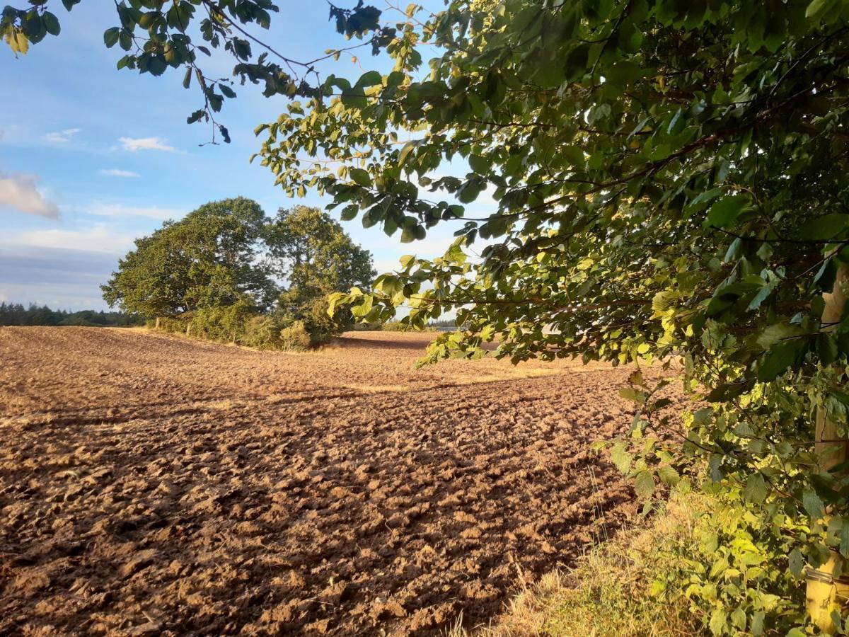 Lundtofthoj Lägenhet Aabenraa Exteriör bild
